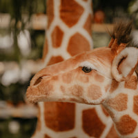 Ruby la Girafe 130 cm Wild and Soft