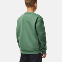 Sweat-shirt thym vert garçon Weekend Offender H26