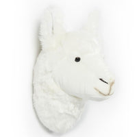 Lily le lama - Wild and Soft