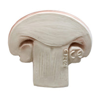 Manolo le champignon l'anneau de dentition Oli & Carol