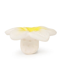 Hawaii la fleur de Tiaré de dentition Oli & Carol