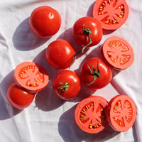Renato la tomate de dentition Oli & Carol