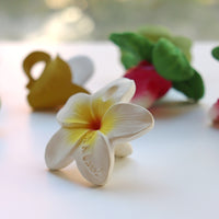 Hawaii la fleur de Tiaré de dentition Oli & Carol