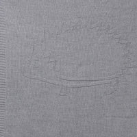 Couverture Tartine et Chocolat Léon le Hérisson grise