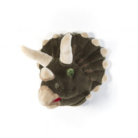 Trophée Adam Dino - Wild and Soft