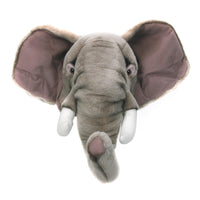 Trophée Georges l'éléphant - Wild and Soft