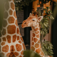 Ruby la Girafe 130 cm Wild and Soft