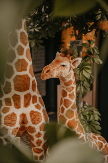 Ruby la Girafe 130 cm Wild and Soft