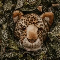 Trophée Charlie le léopard : décoration murale - Tête moyenne Wild and Soft