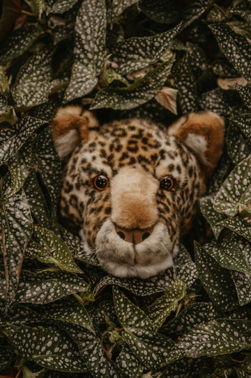 Trophée Charlie le léopard : décoration murale - Tête moyenne Wild and Soft