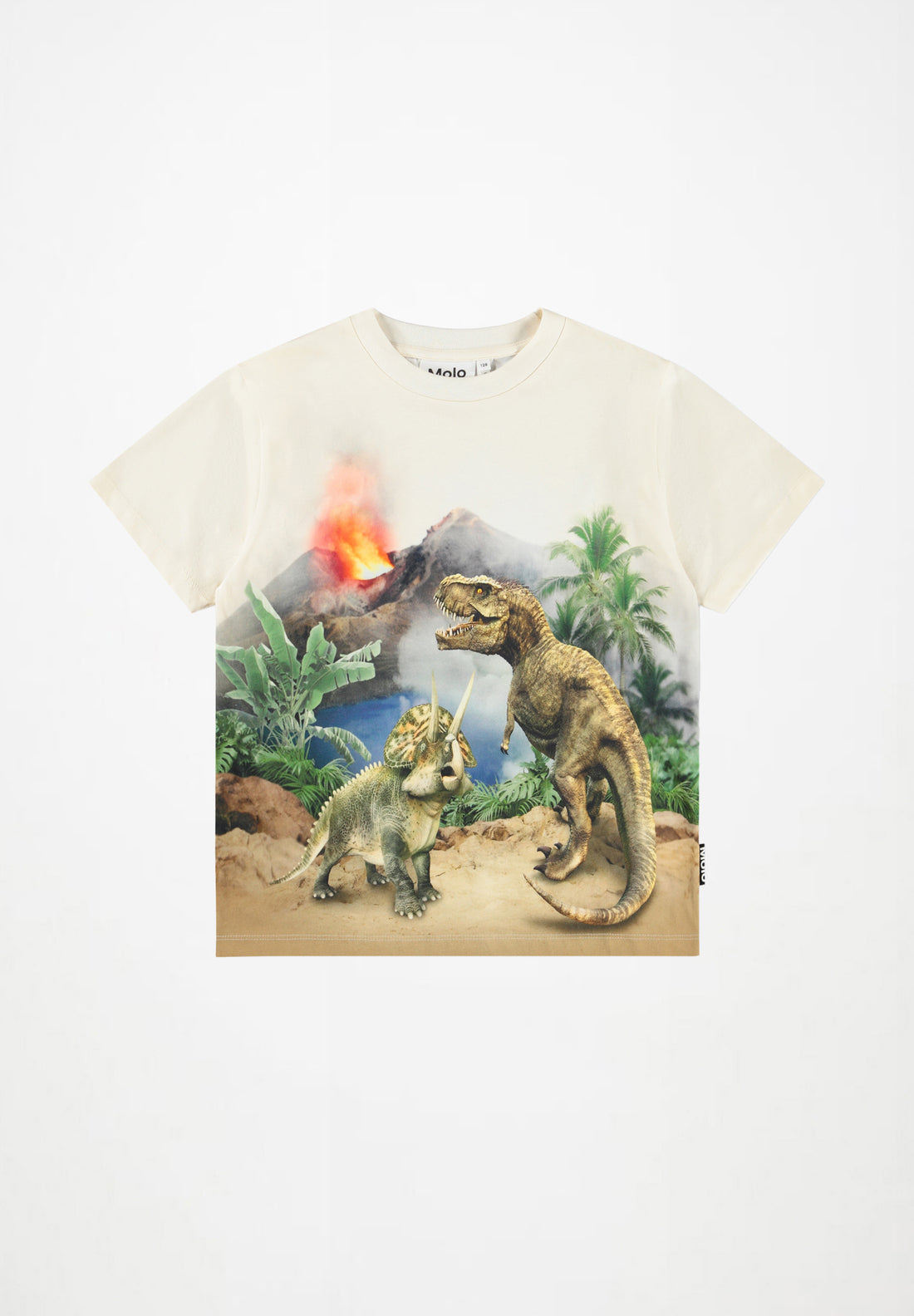 Tee-shirt manches courtes imprimé dinosaure garçon Molo E26