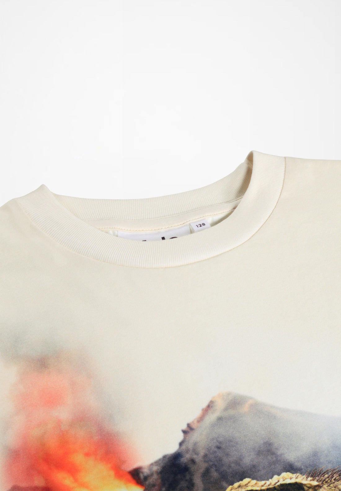 Tee-shirt manches courtes imprimé dinosaure garçon Molo E26