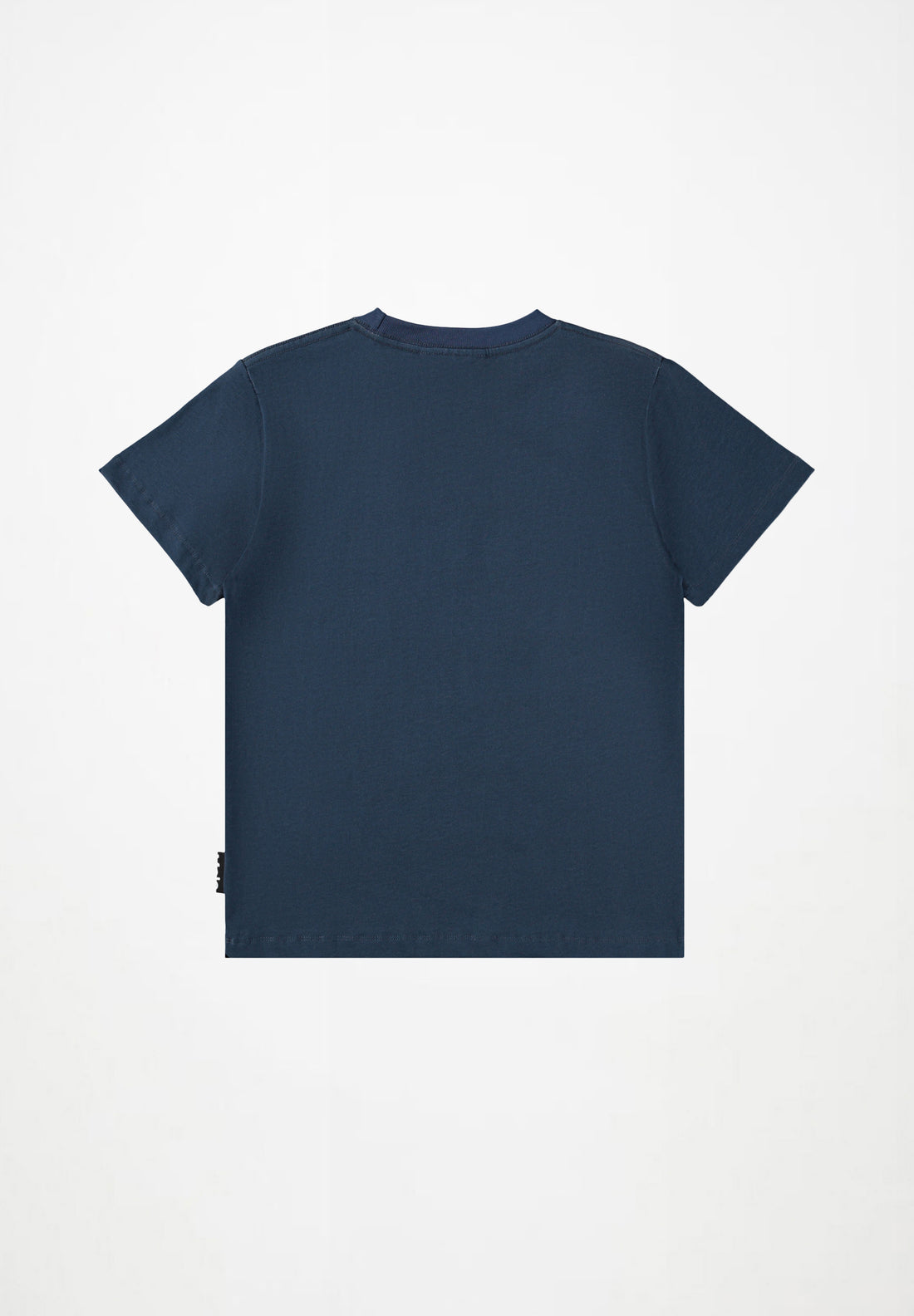 Tee-shirt manches courtes imprimé dinosaures bleu garçon Molo E26