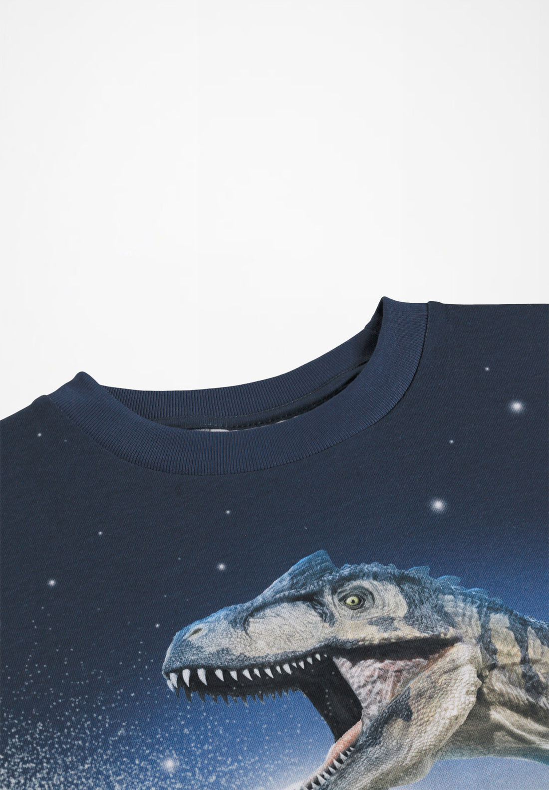 Tee-shirt manches courtes imprimé dinosaures bleu garçon Molo E26
