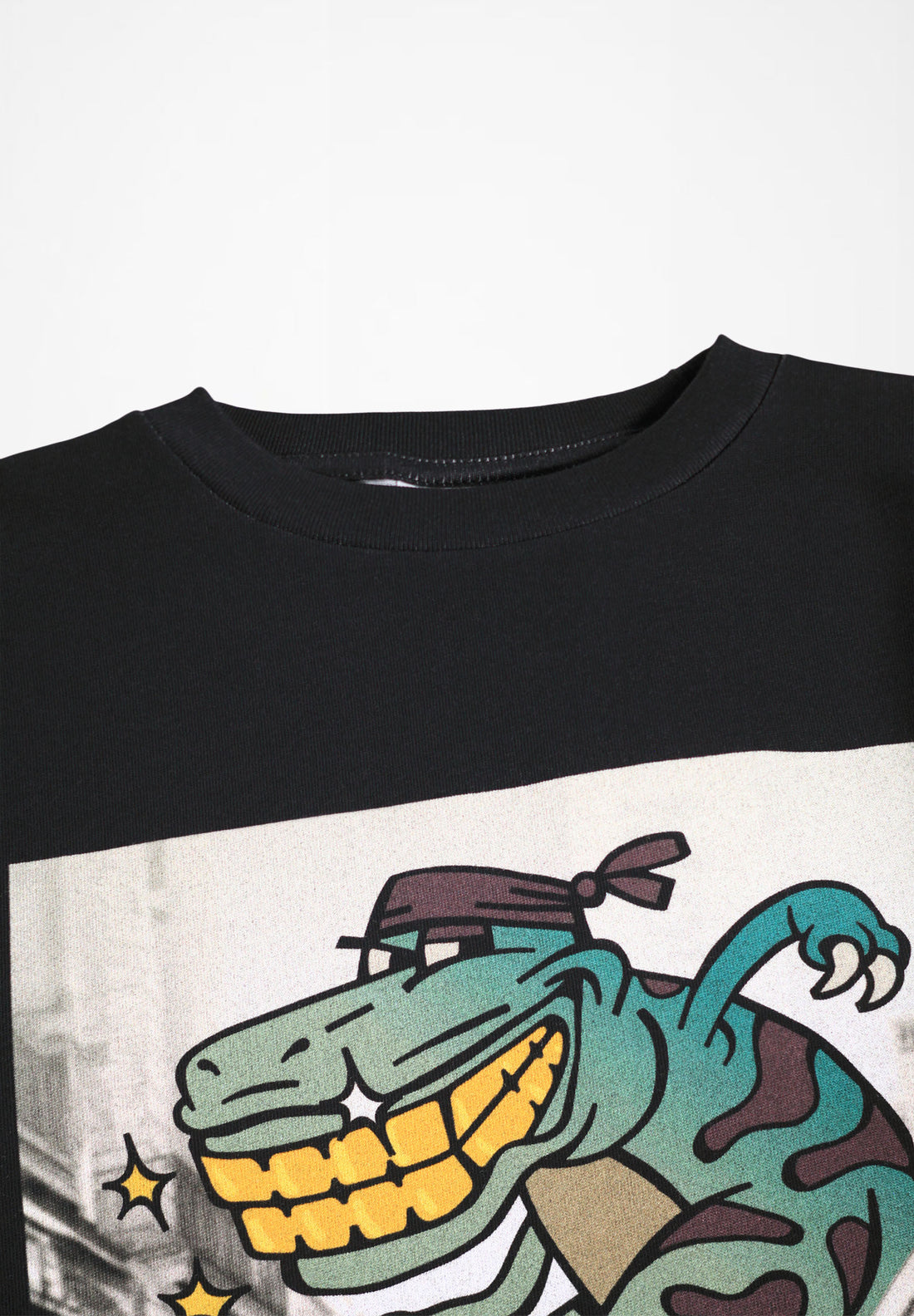 Tee-shirt manches longues Rube Downtown Roar garçon Molo H26