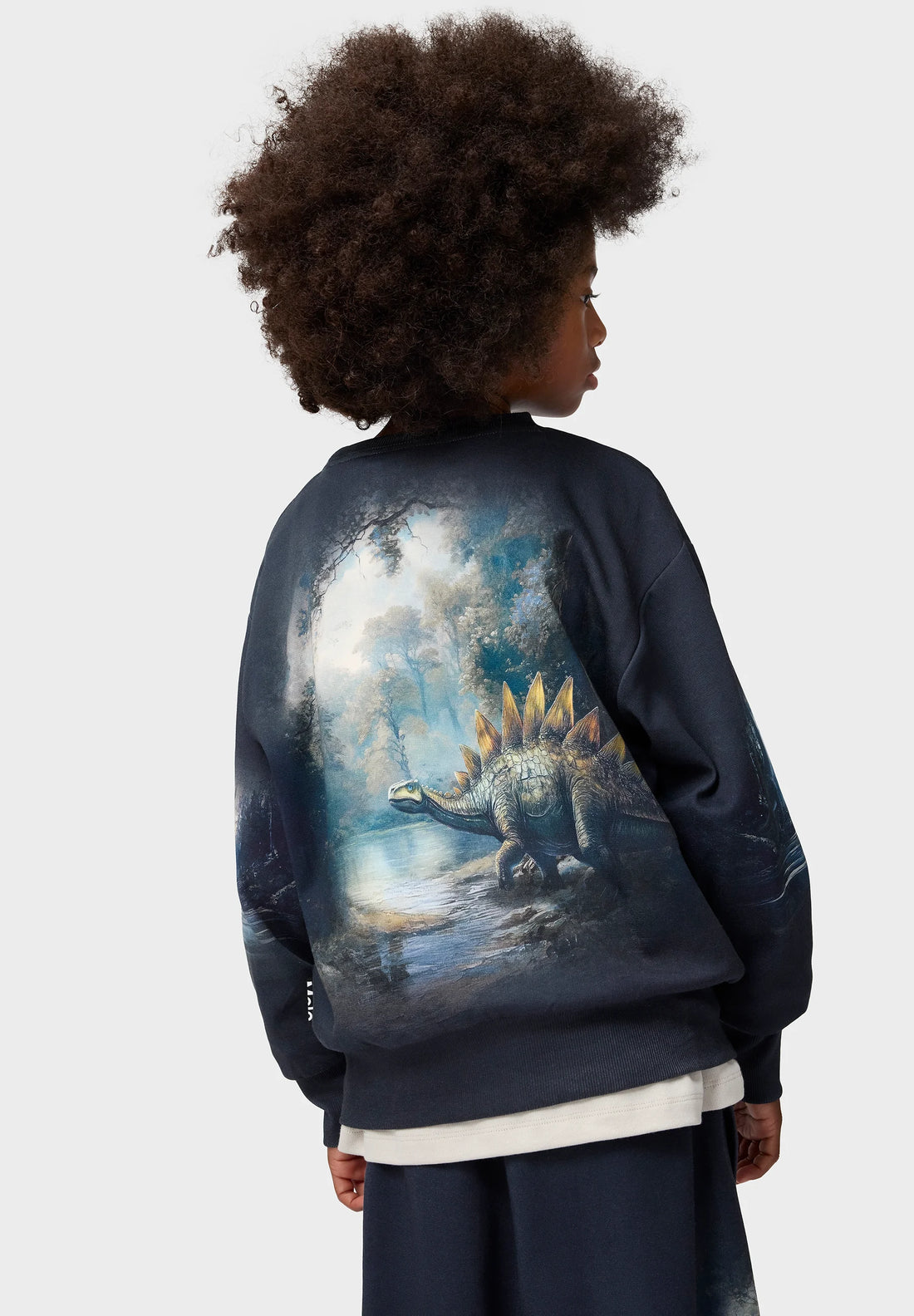 Sweat-shirt manches longues Mattis Twilight Dino garçon Molo H26