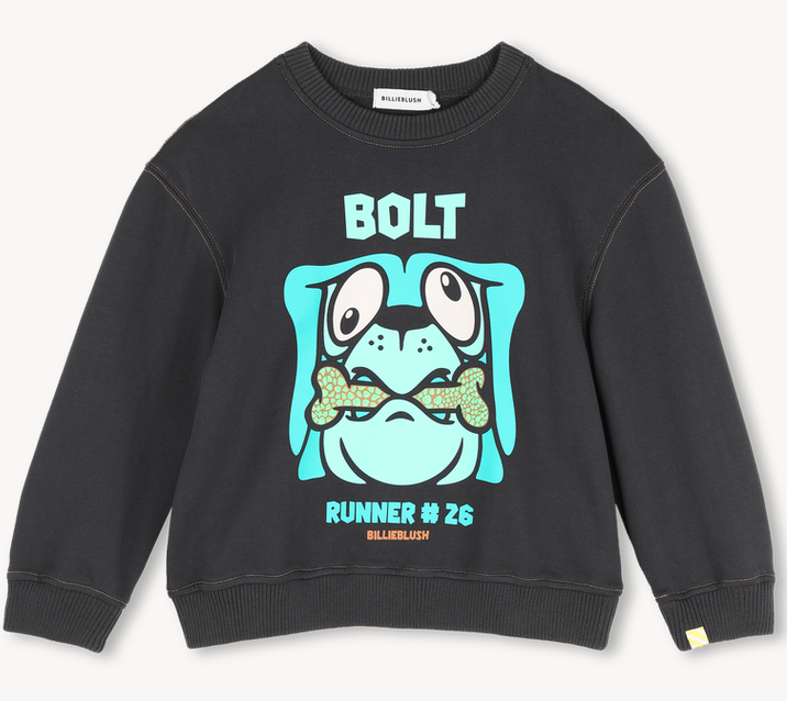 Sweat-shirt dark grey garçon Billieblush H26