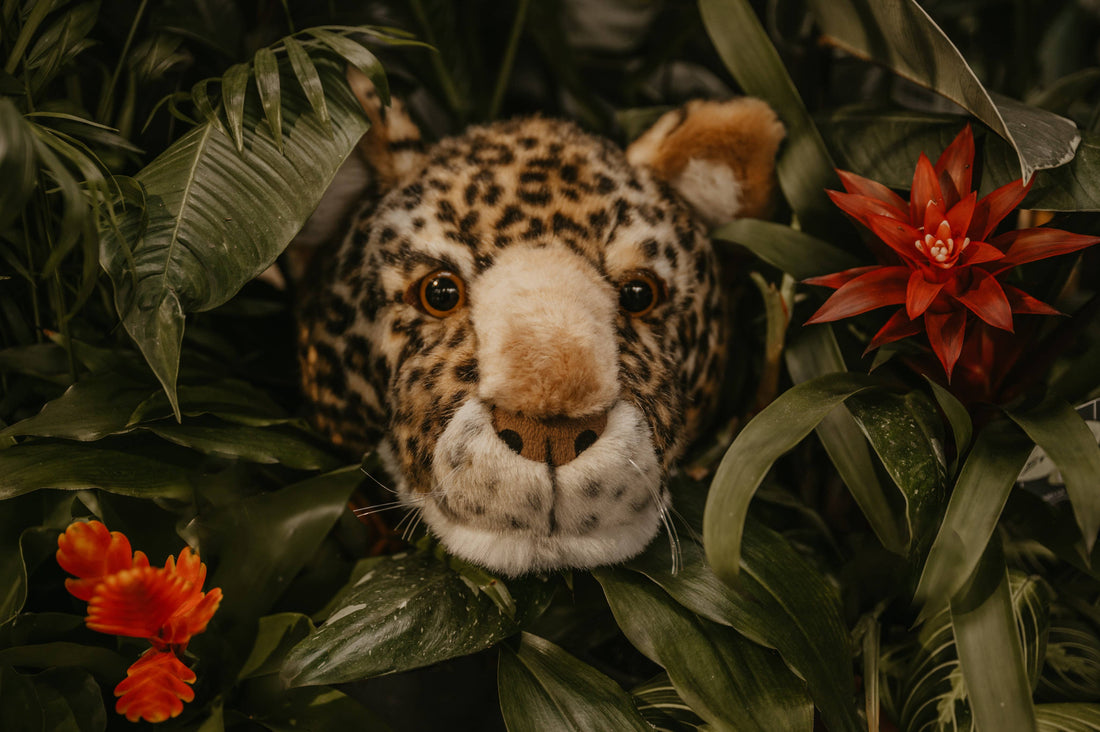 Trophée Charlie le léopard : décoration murale - Tête moyenne Wild and Soft