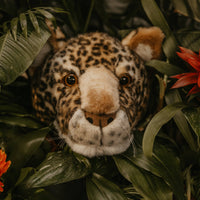 Trophée Charlie le léopard : décoration murale - Tête moyenne Wild and Soft