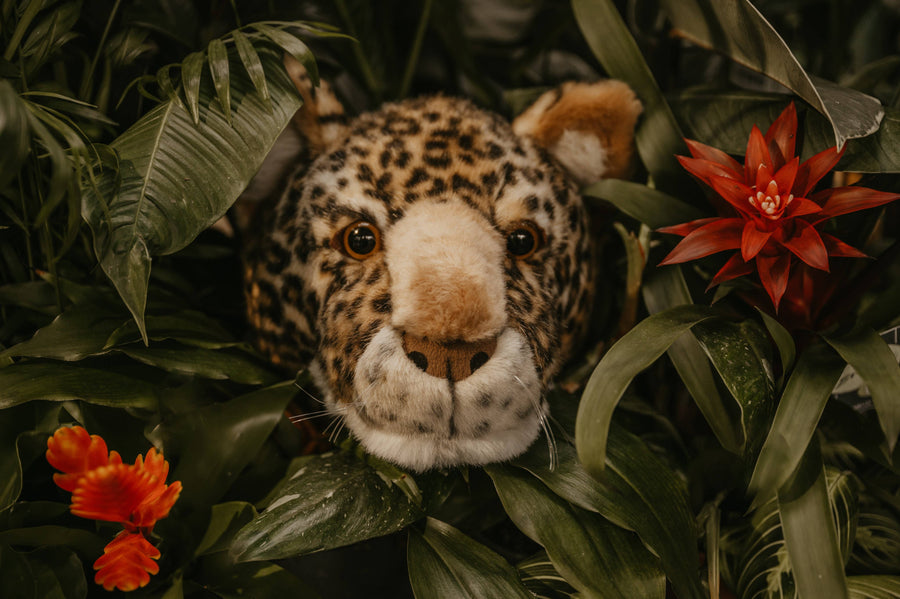 Trophée Charlie le léopard : décoration murale - Tête moyenne Wild and Soft