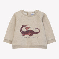 Pull coton imprimé dinosaures sable babyboy Tartine et Chocolat H26